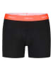 Phil & Co. Berlin 3er-Set: Boxershorts in Schwarz