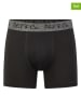 Phil & Co. Berlin 3er-Set: Boxershorts in Schwarz