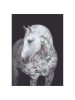 Poster & Frame Kunstdruk "Portraits Andalusian Horse"