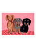 Poster & Frame Druk artystyczny "Dachshunds"