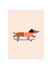 Poster & Frame Kunstdruk "Dachshund on Skateboard"