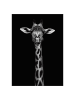 Poster & Frame Druk artystyczny "Giraffe portrait"
