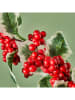 BELLA MAISON Kunstpflanze "Dalia Christmas" in Rot - (H)60 cm