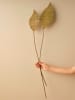 BELLA MAISON Trockenpflanze "Mulberry" in Beige - (H)100 cm
