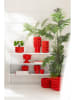 J Line Übertopf "Erdbeeren'' in Rot - (H)10,3 x Ø 15,5 cm