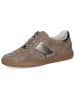 Caprice Leren sneakers lichtbruin
