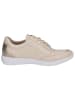Caprice Leren sneakers beige/goudkleurig