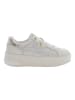U.S. Polo Sneakers "Asuka" in Beige