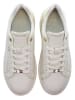 U.S. Polo Sneakers "Asuka" in Beige