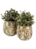 Clayre & Eef Blumentopf in Beige/ Gelb - (H)17 x Ø 18 cm