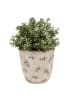 Clayre & Eef Bloempot beige/groen - (H)14 x Ø 13 cm