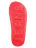 Tommy Hilfiger Shoes Pantoletten in Rot
