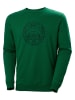 Helly Hansen Sweatshirt in Grün