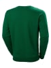 Helly Hansen Sweatshirt in Grün