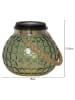 STAR Trading Solarny lampion LED "Dotte" w kolorze zielonym - 15 x 13,5 cm