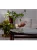 STAR Trading Ledsolardecoratie "Oxida" lichtbruin - (B)20,5 x (H)15,5 cm