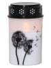 STAR Trading Ledgraflicht "Dandelion" wit