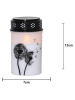 STAR Trading Ledgraflicht "Dandelion" wit