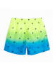 COOL CLUB Zwemshort groen/blauw