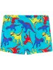 COOL CLUB Zwembroek blauw/meerkleurig