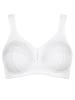 Triumph Minimizer-beha wit