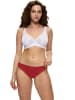 Triumph Slip rood