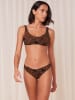 Triumph Bikinislip zwart/camel