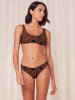 Triumph Bikini-Oberteil in Schwarz/ Camel