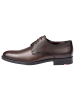LLOYD Leder-Schnürschuhe "Davenport" in Braun