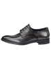 LLOYD Leder-Schnürschuhe "Opal" in Schwarz