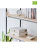 STORE IT 2er-Set: Dokumentenboxen ''Premium'' in Creme