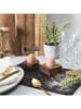 every ware 4er-Set: Eierbecher in Braun - (Überraschungsprodukt)