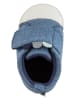 Sterntaler Sneakers "Dinozacken" in Blau/ Weiß