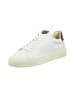 GANT Footwear Leder-Sneakers "Mc Julien" in Weiß
