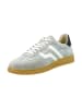 GANT Footwear Leren sneakers "Cuzmo" grijs