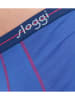 Sloggi 2er-Sets: Boxershorts in Blau/ Hellblau