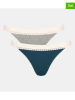 Sloggi 2er-Set: Slips "Ribbed Tanga"" in Grau/ Petrol
