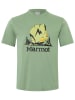 Marmot Shirt "Bouldering Marty" in Salbei