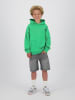 RAIZZED® Hoodie groen