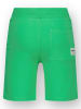 RAIZZED® Shorts in Grün