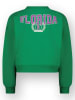 RAIZZED® Sweatshirt in Grün