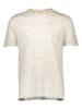 U.S. Polo Assn. Shirt beige/wit
