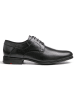 LLOYD Leder-Schnürschuhe "Levin" in Schwarz