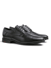 LLOYD Leder-Schnürschuhe "Levin" in Schwarz