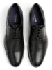 LLOYD Leder-Schnürschuhe "Levin" in Schwarz