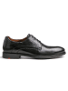 LLOYD Leder-Schnürschuhe "Milan" in Schwarz