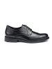 LLOYD Leren veterschoenen "Tampico" zwart