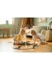 Brio Starter Set "Reisezug" - ab 3 Jahren
