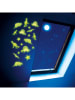 Toi-Toys Fluoreszierender Dekorkleber "Dino" - ab 3 Jahren