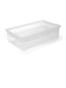 MasterClass Marinadenbox in Transparent - (B)37 x (H)10 cm